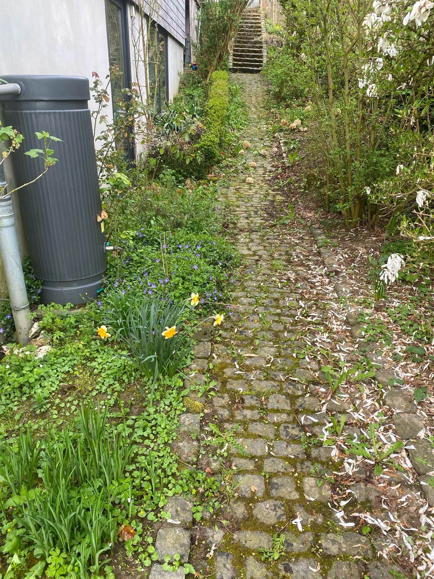Gartenpflege