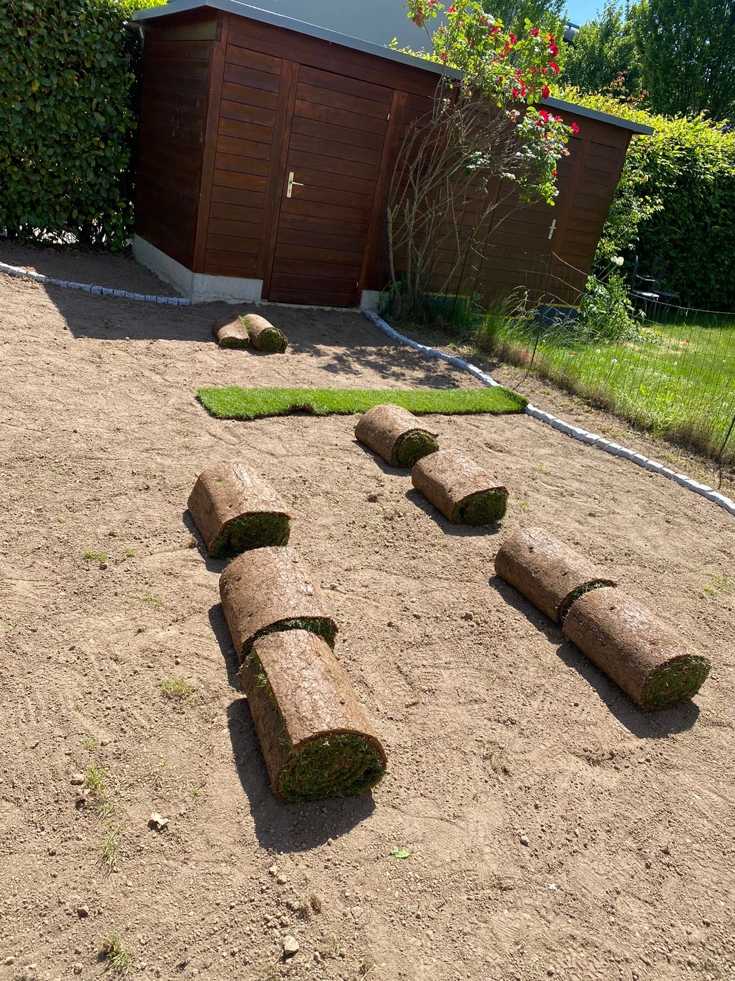 Lawn Installation